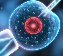 上海可以做三代试管的私立医院有哪些？上海试管婴儿技术怎么样？