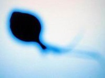 2025年无子宫可以去厦门安宝医院做三代试管吗？大概要花费多